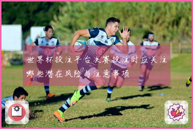 世界杯投注平台决赛投注时应关注哪些潜在风险与注意事项