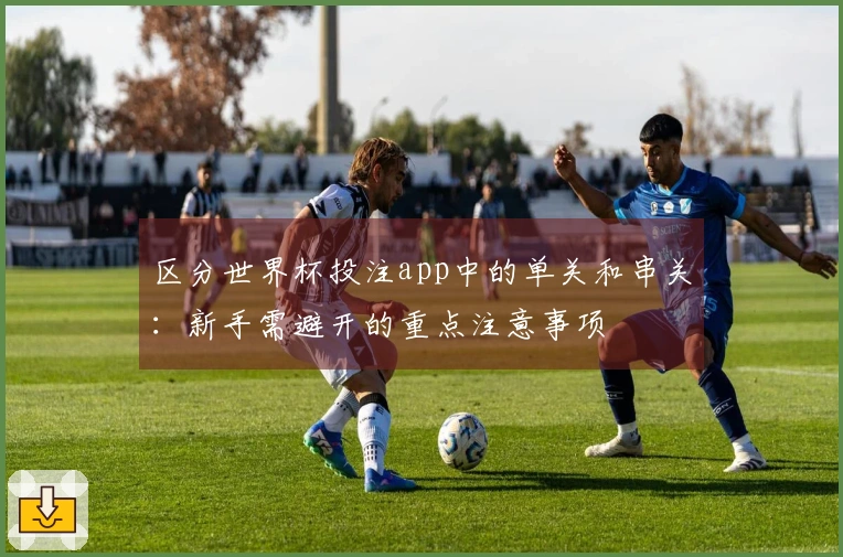 区分世界杯投注app中的单关和串关：新手需避开的重点注意事项