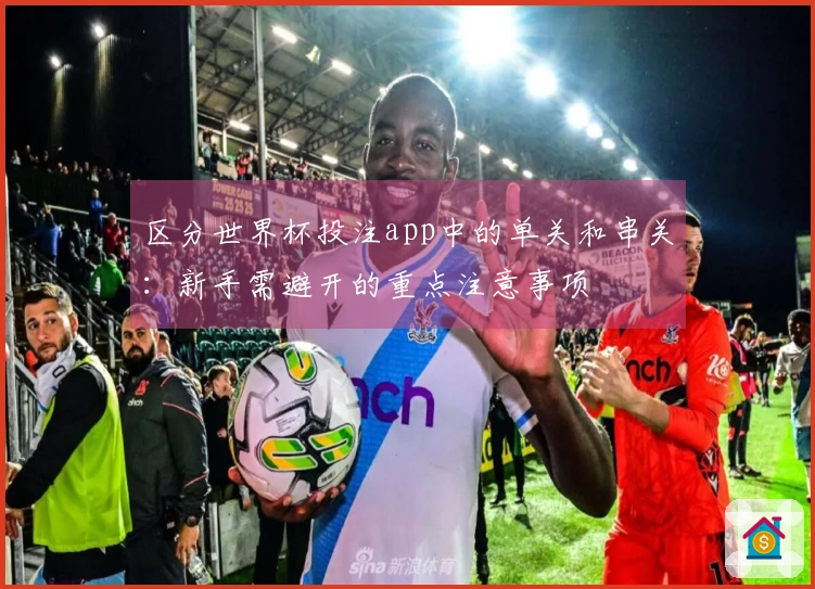 区分世界杯投注app中的单关和串关：新手需避开的重点注意事项