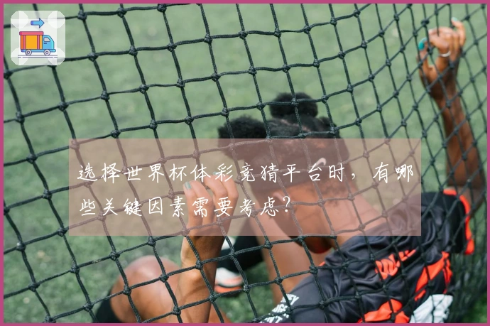 选择世界杯体彩竞猜平台时，有哪些关键因素需要考虑？
