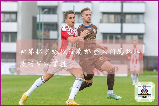世界杯买球投注有哪些入门思路和技巧可以掌握